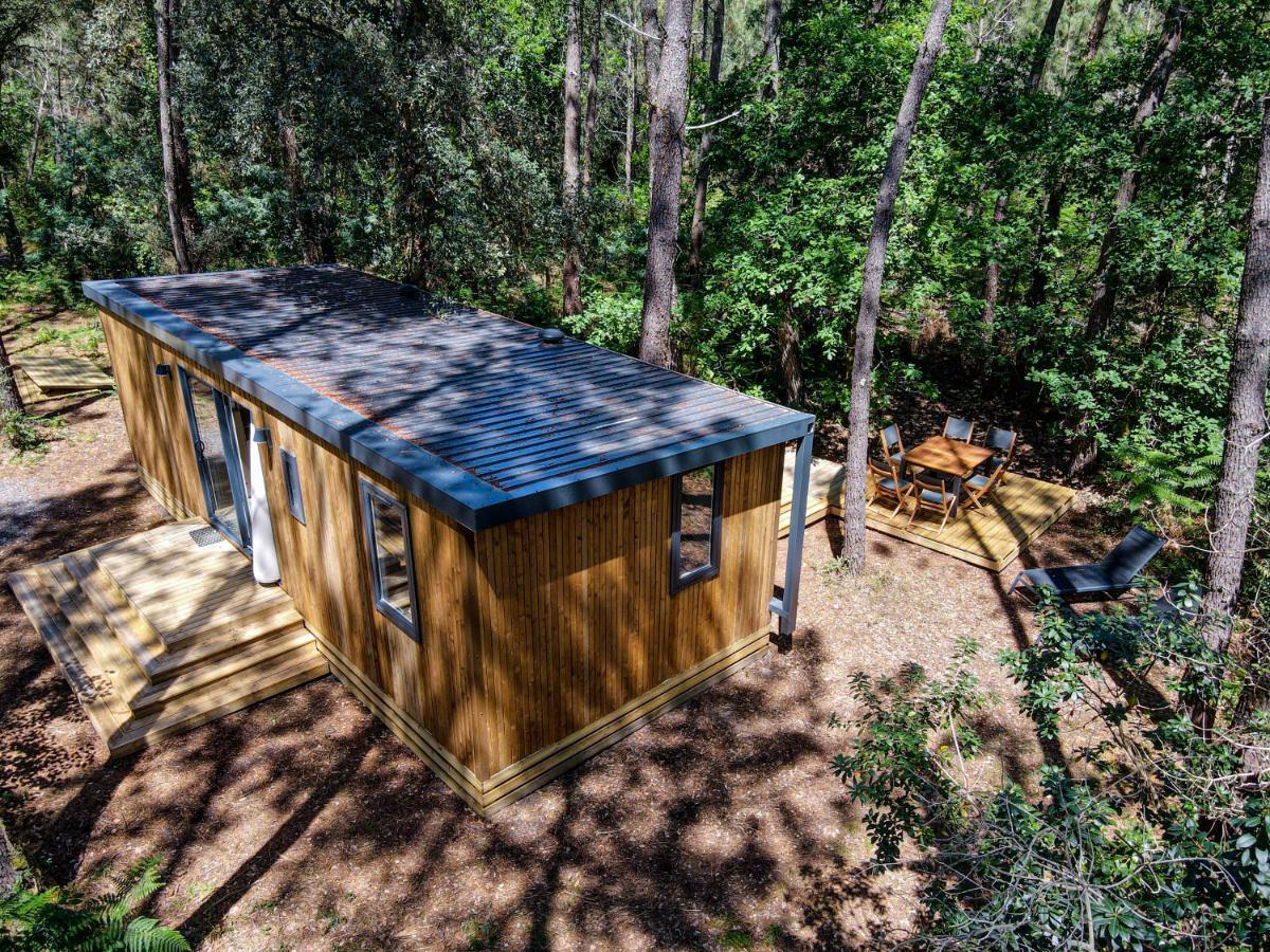 Cottage Vista with Forest View