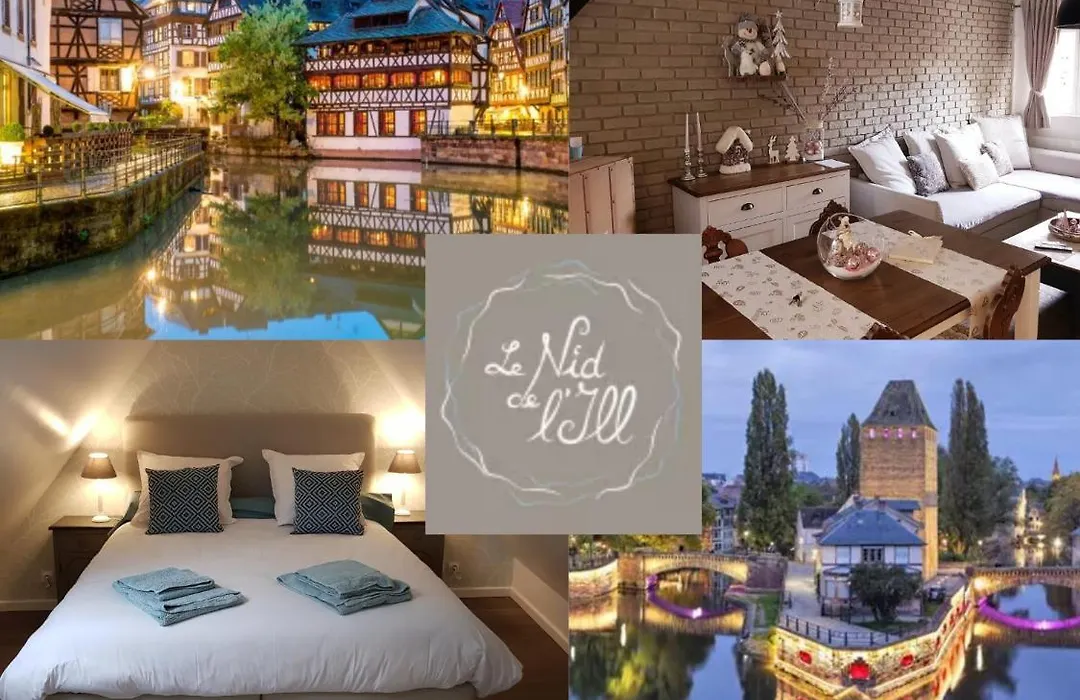 Le Nid De L'Ill, Magnifique Duplex Cosy Petite France-1