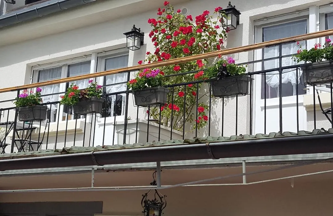 Les Iris Chambres D'Hote-1