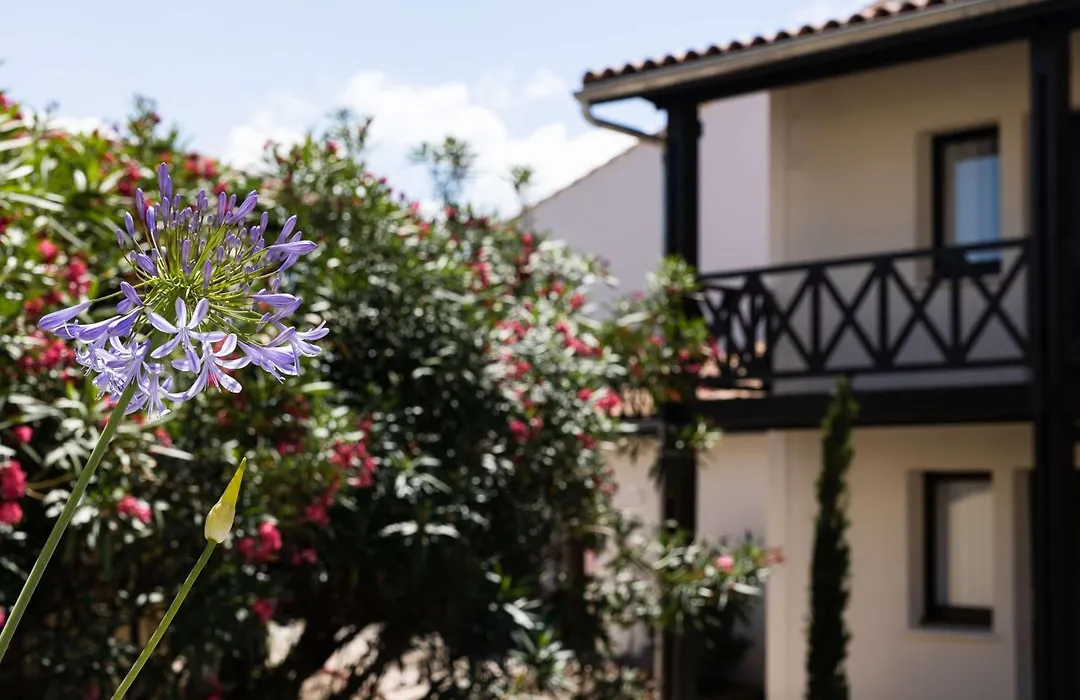 Best Western Premier Hotel Des Vignes Et Des Anges-1
