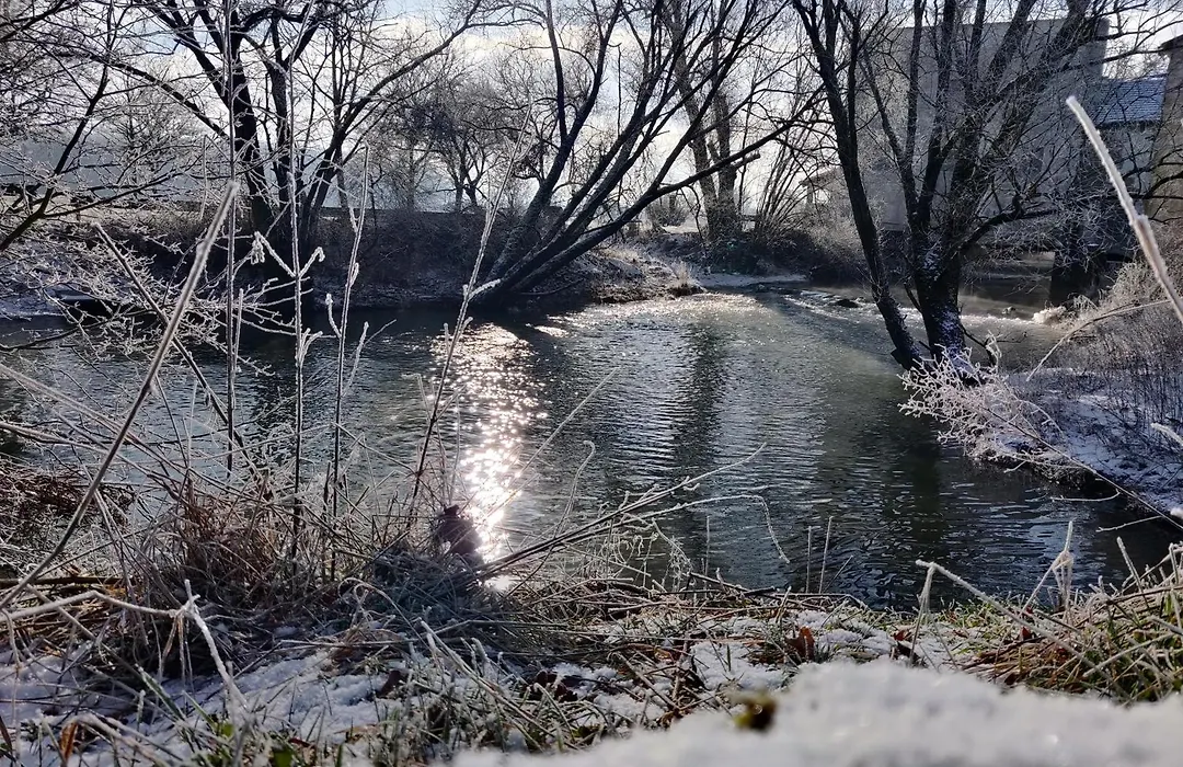 Le Moulin Des Moines-1