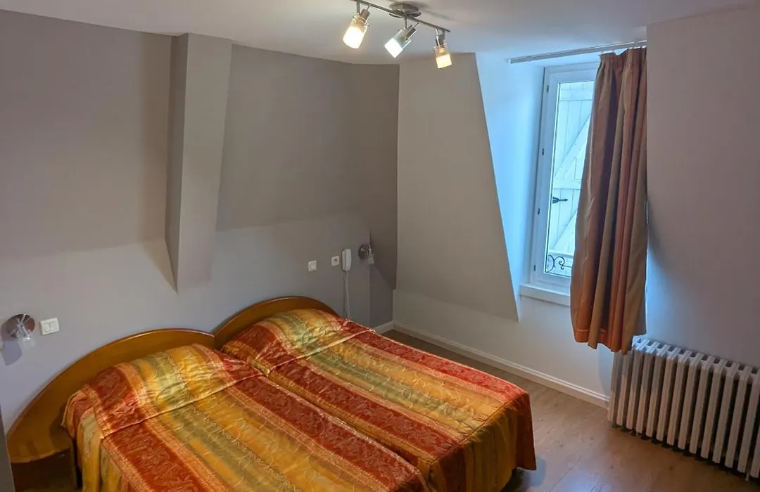 Logis Hotel Regina-1