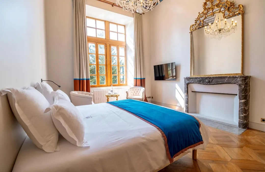 Chateau De Thorens-1