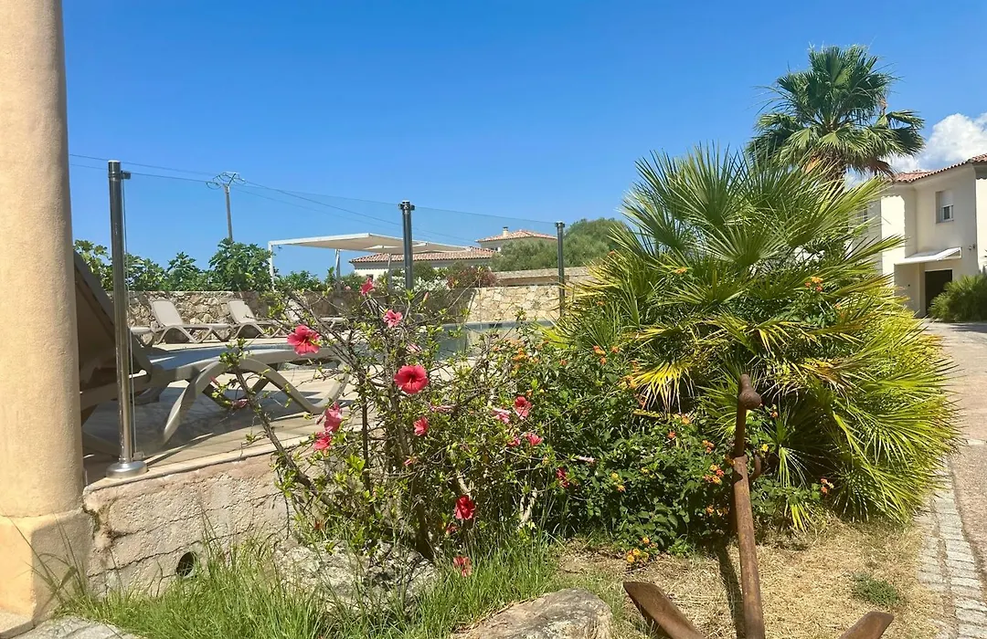 Manureva Calvi-1