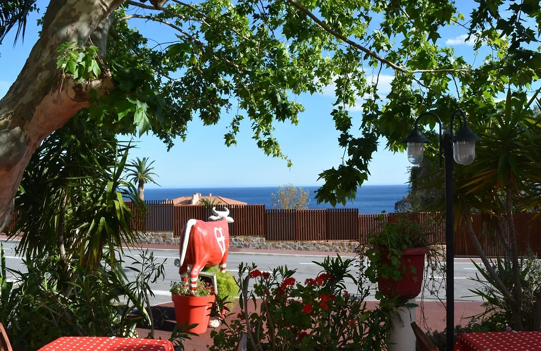 Le Patio-1