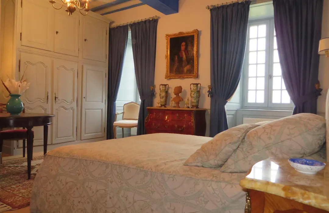 Chateau De La Semondiere-1