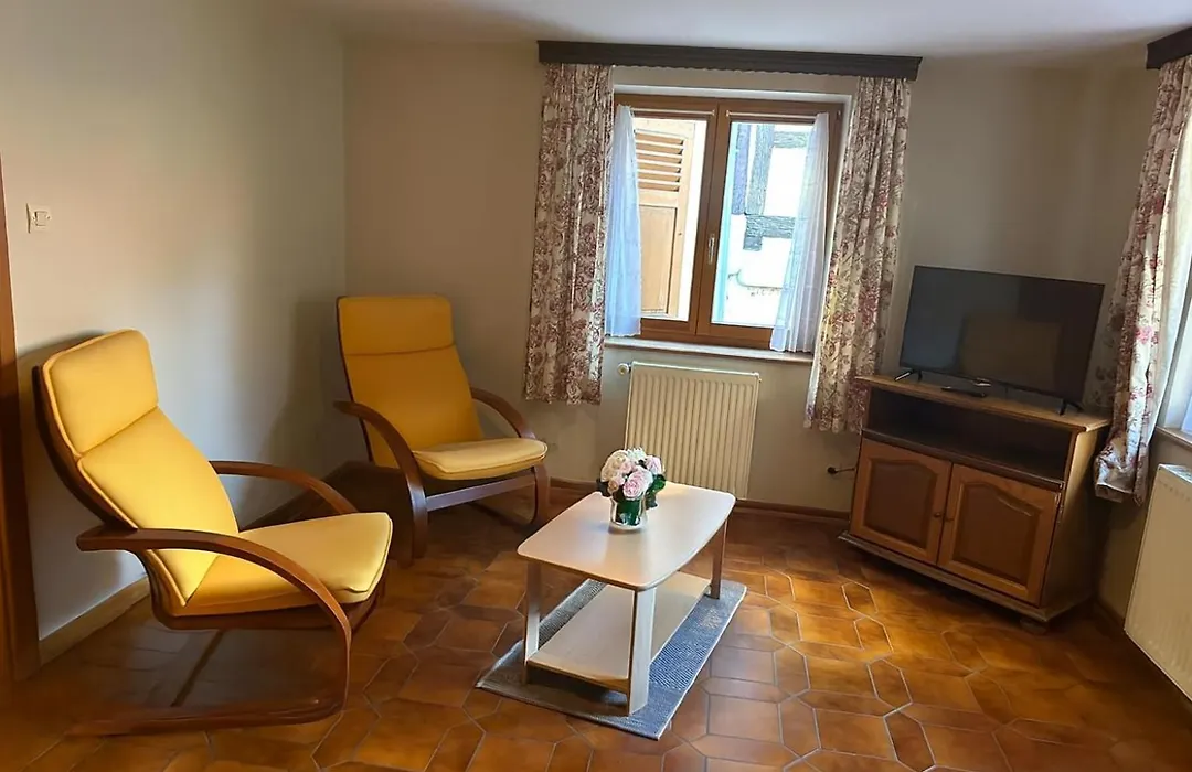 Hotel A La Vignette - Colmar-Nord-1