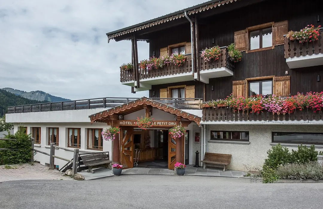 Hotel Le Petit Dru-1