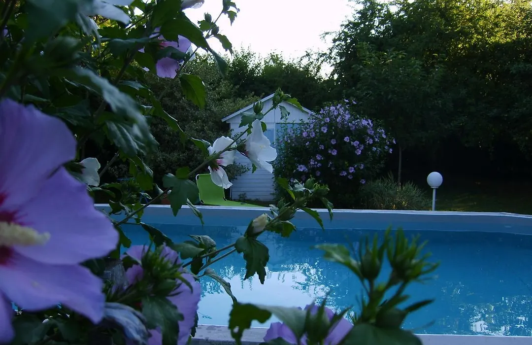 La Ferme De Thoudiere-1