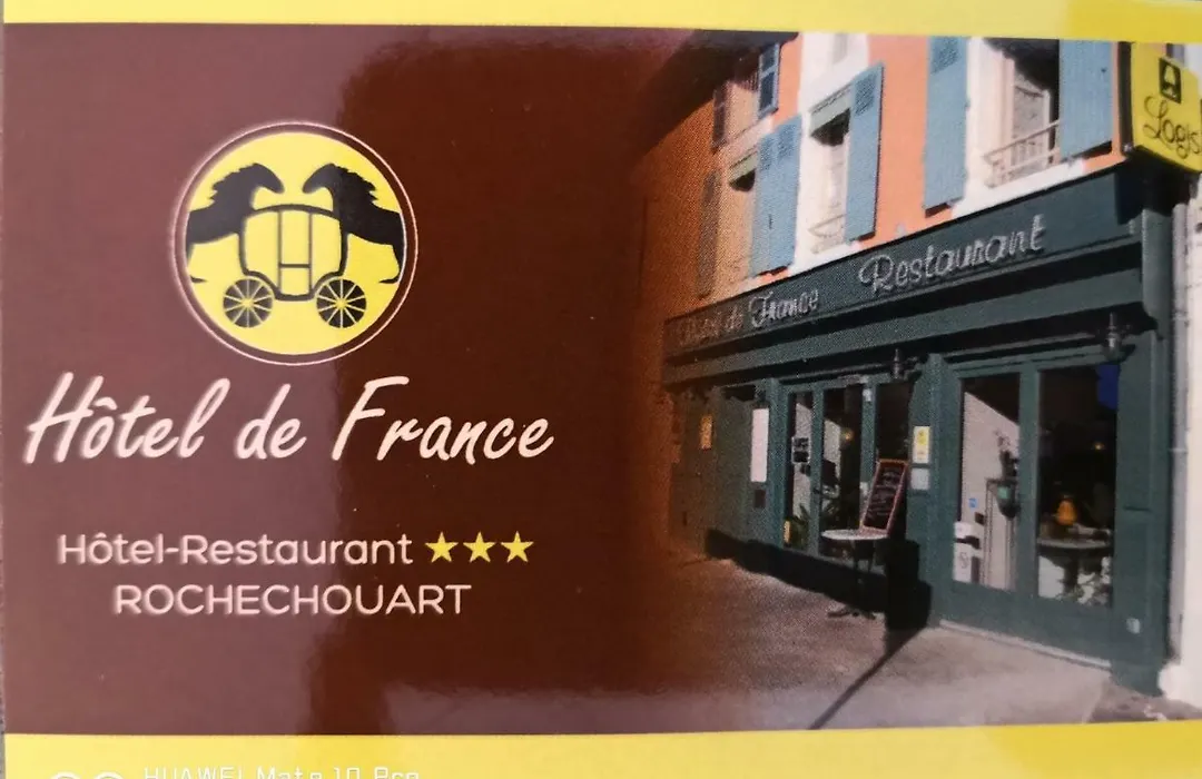 Logis Hotel De France-1