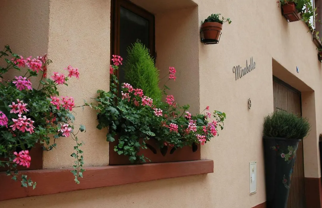 Mirabelle Bed&Breakfast-1