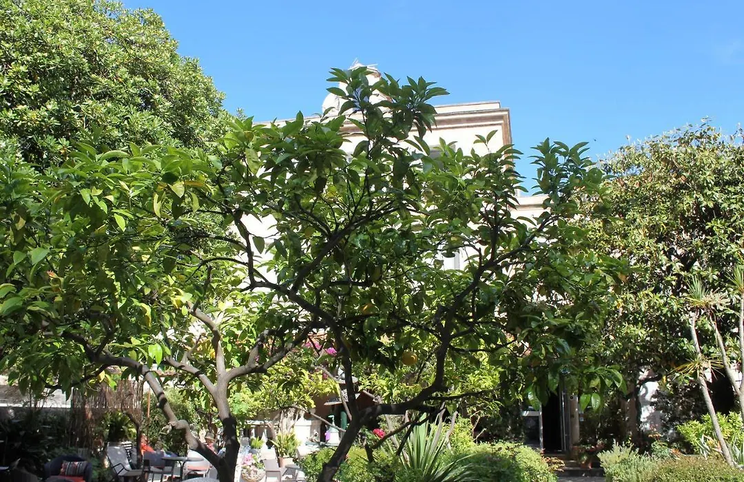 Hotel Les Palmiers-1