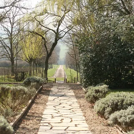 Domaine De Sainte Anne-3