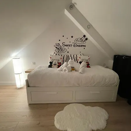 Paris House-3