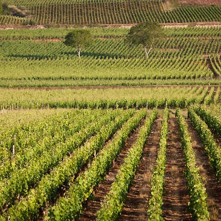 Kyriad Prestige Beaune Le Panorama-2