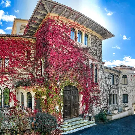 Chateau De Brindos-2