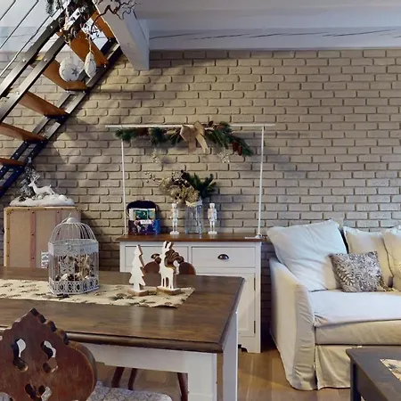 Le Nid De L'Ill, Magnifique Duplex Cosy Petite France-3