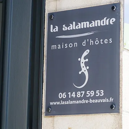 La Salamandre-3