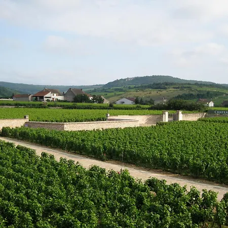 Chateau De Chassagne-Montrachet-3