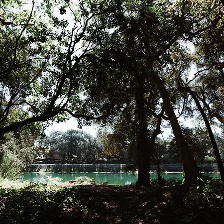 Hotel Les Fougeres - Hossegor-3