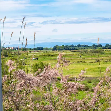 Residence Hoteliere Natureva & Spa-3