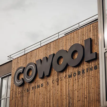 Cowool Cergy-2