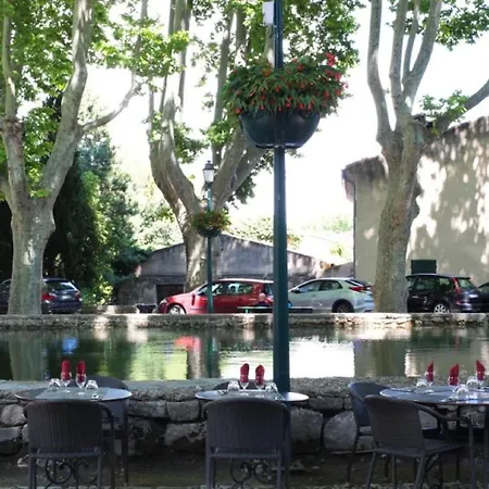 Logis Hotel De L'Etang-2