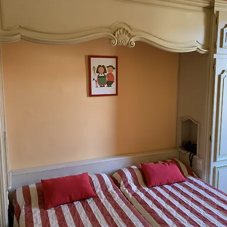 Cit'Hotel Des Vosges - 5 Rue De La Gare-2
