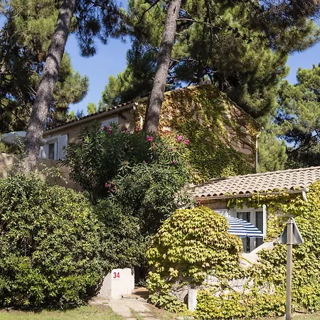 Vignale Resort-2