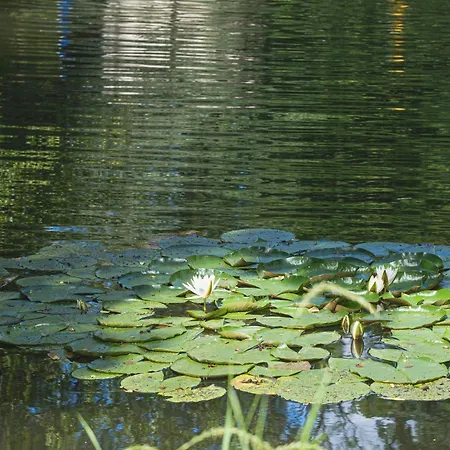 Domaine De La Residence - Hotel, Spa & Restaurant-3