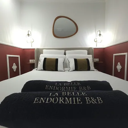 La Belle Endormie B&B French Guest House-2