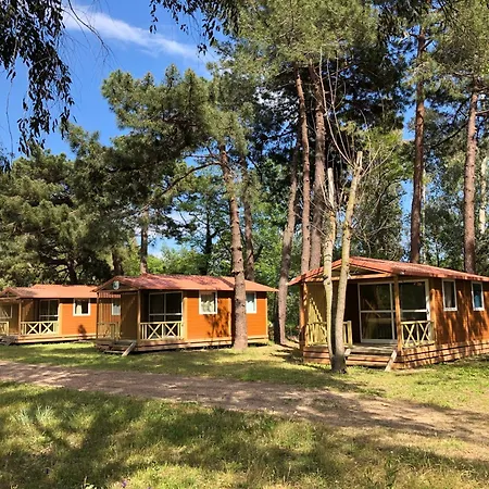 Camping L'Oso-2