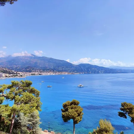 Le Coq Bleu D'Azur- Piscine - Parking - Ac -Wifi-3