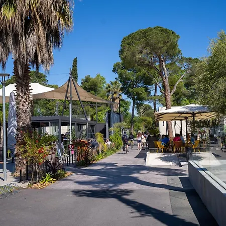 Camping Taxo Les Pins-2