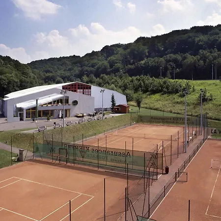 Mercure Hotel Forbach Centre De Loisirs-3