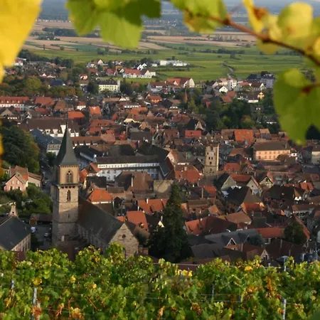 Domaine Jean Sipp-2