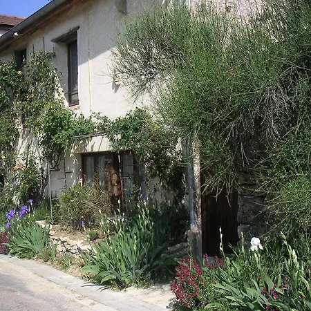 Le Verger Sous Les Vignes-2