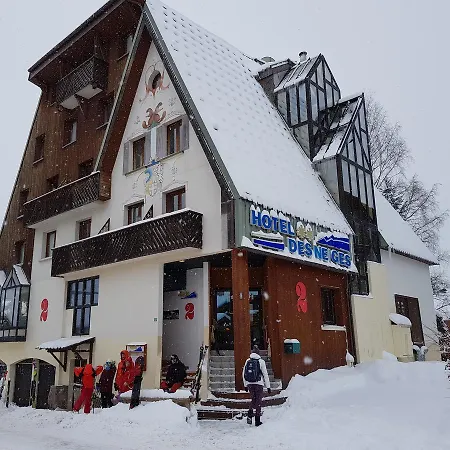 Hotel Des Neiges-3