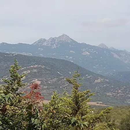 Macchie E Fiori-2
