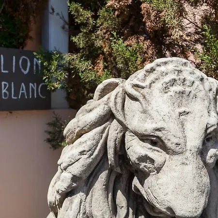 Lion Blanc-3