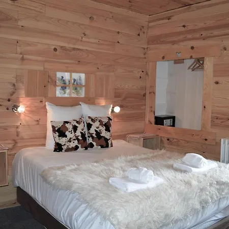 Chalet Saint Bernard-3