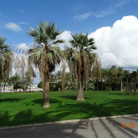 Palm Beach Cannes Azur-3