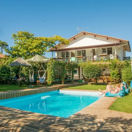 Pura Vida Lodge-2