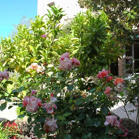Hotel Les Palmiers-2
