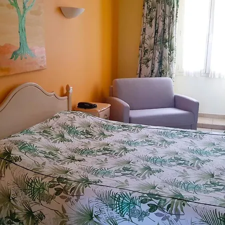 Hotel Les Palmiers-2