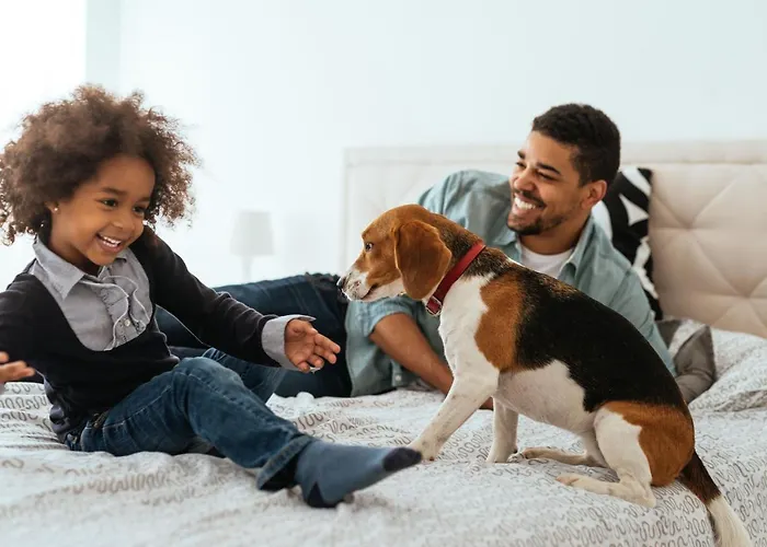 Aparthotels in Paris