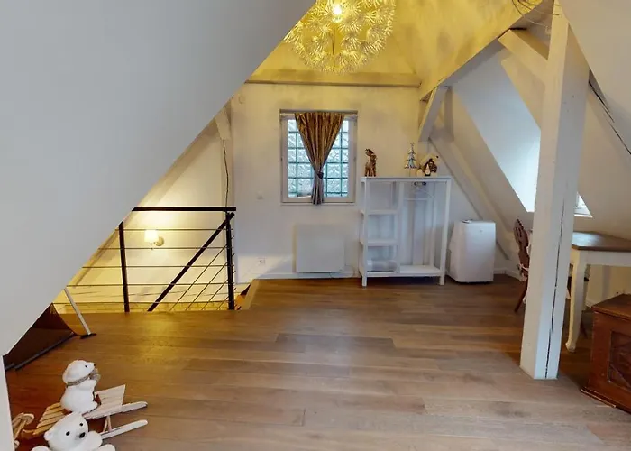 Le Nid De L'Ill, Magnifique Duplex Cosy Petite France