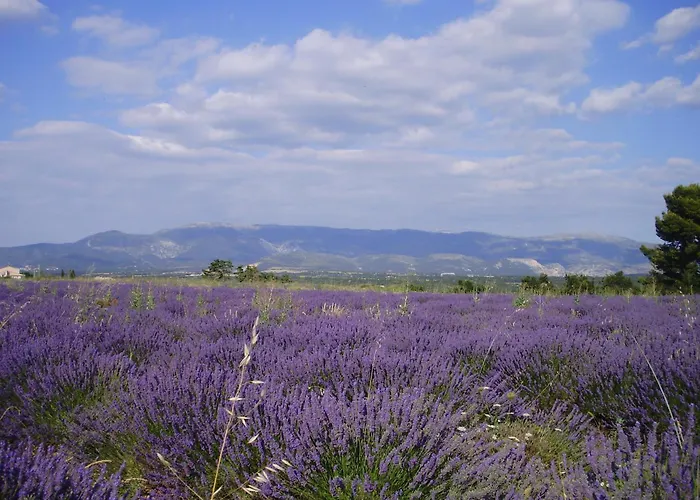 Hotel Du Moulin Allemagne-en-Provence, Frankreich