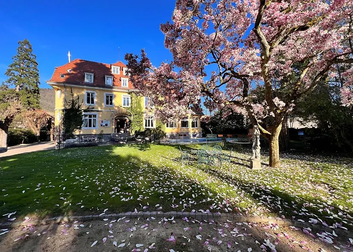 Hotel Restaurant Du Parc Thann, France