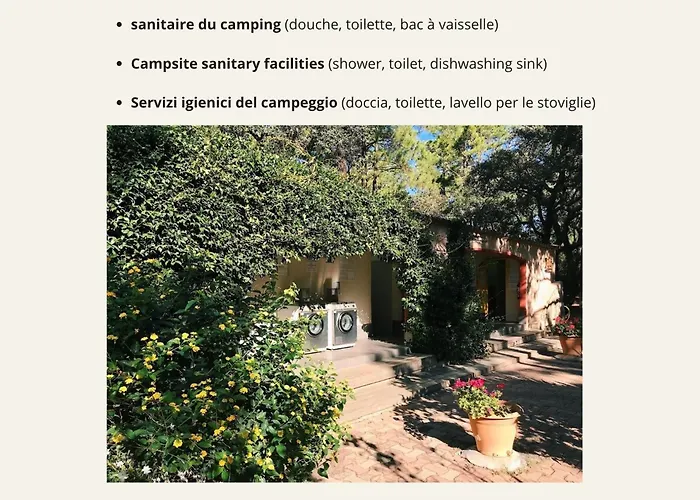 Arutoli